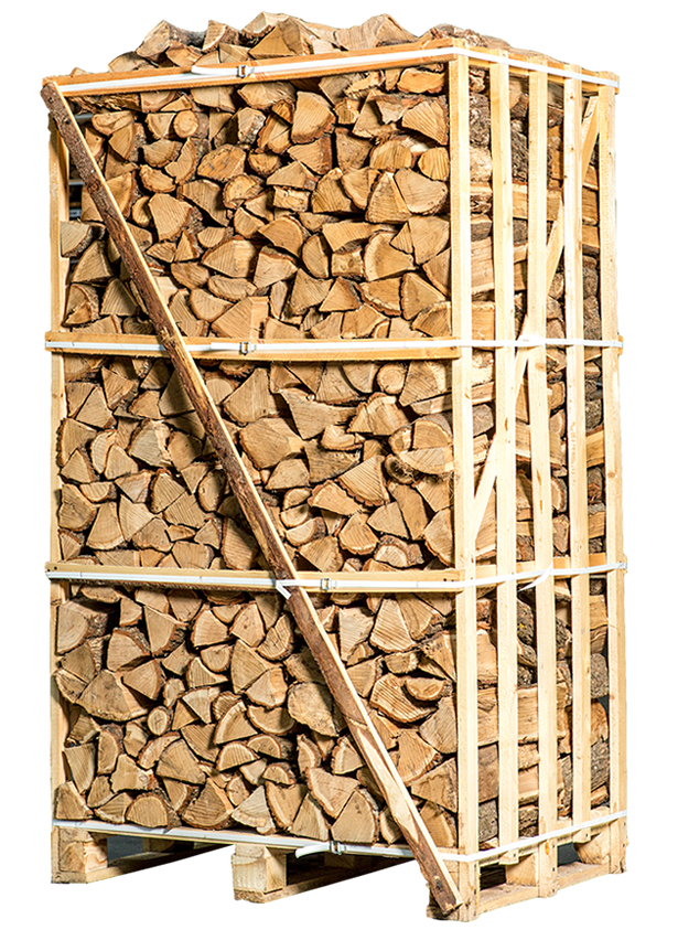 Gran palé de leña de carpe secada en horno de 25 cm